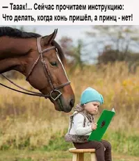 42AB4DF9-66D9-48B7-925F-42BF693373AD.webp