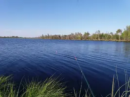 20180722_065608.webp