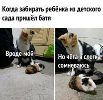 kSK1ouVSPNk.webp