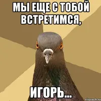 golub_35118897_orig_.webp