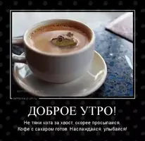 s1200.webp