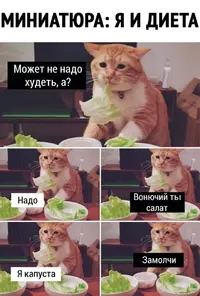 BxALrbLztuQ.webp