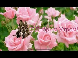 hqdefault.webp