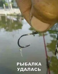 1590127551144586895.webp