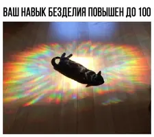1590101192155284313.webp