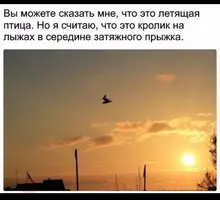 B8A5C9F8-4C6C-41E1-9FDA-6F31CFB13BEB.webp