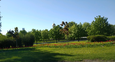 1590006936727.webp