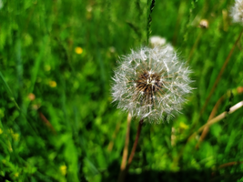 IMG_20200522_141119_800x600.webp