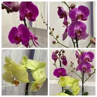 DEB567B4-9E39-4B08-AE00-92F3CD1B5AE8.webp