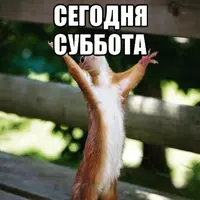 Суббота-картинки-прикольные-с-надписями-веселые-и-забавные-5.webp