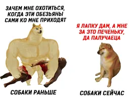 14BMkX9Ws78.webp