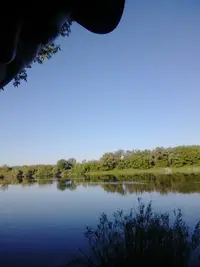 15903765765921918697706.webp