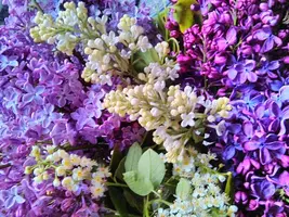 tmp-cam-2012575352.webp