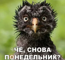 Df8R5NCWsAAdTKc.webp