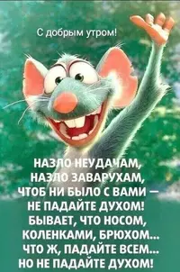 96ecfa5f5a9c59fdb6109a77f9b7ff88.webp