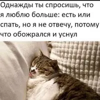 1590392882185968306.webp