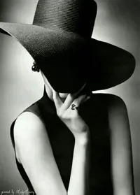 f14594ca63b41c9cea41c29f87f375d5--big-hats-fancy-hats.webp