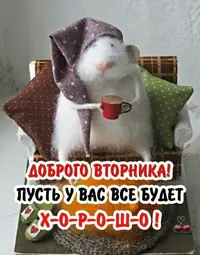 s1200.webp