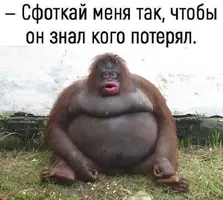 1551774929_2.webp