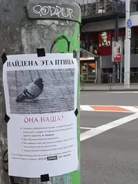 1590422085134471533.webp
