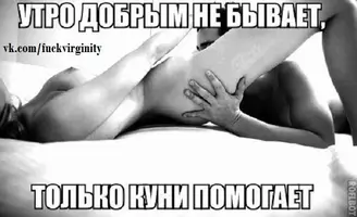 2419473217.webp