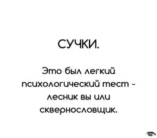 IMG-a51f3aebb704e632b52cf655d59ffb6f-V.webp