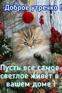 bddea25f324d64ed8f806ec73d7b369d.webp