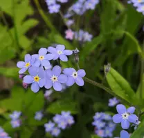 IMG_20200527_184522.webp
