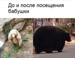 1590574597190567531.webp
