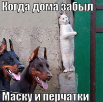 1590552606140019793.webp