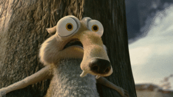 image.gif