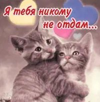 2aVQFfWug6E.webp