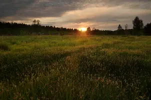 _DSC7115-1.webp