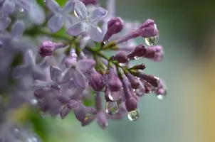 _DSC7174-1.webp