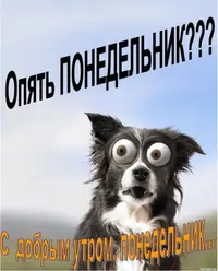 бешеные-глаза.webp