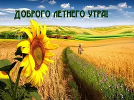 1538131310_3.webp