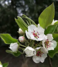 IMG_20200601_201833.webp