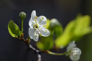 _DSC8796-1.webp