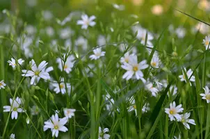 _DSC3642-1.webp