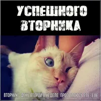 ouspeshnogo-vtornika-prikolnaya-kartinka.webp