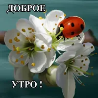 IMG-20200602-WA0000.webp