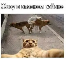1565599847_1565599842.webp