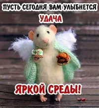 cb67691e834f5ddf731e1fb0adb762be.webp