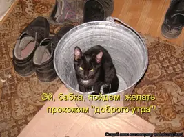 817306.webp