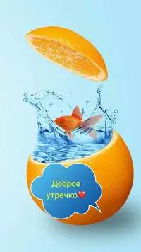 IMG-20200603-WA0001.webp
