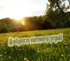 obrogoutra_ru_759.webp