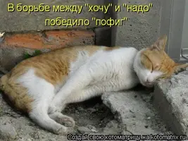 235177-87629-36771383-m750x740-u974a4.webp