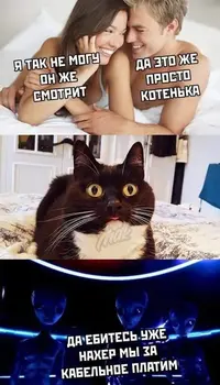 89bff46c498fcd78d73b0c9da1c6239e.webp