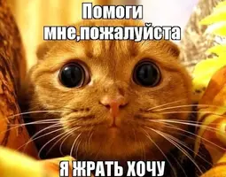 1581057304_1.webp
