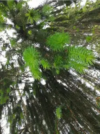 Screenshot_20200605_214958.webp